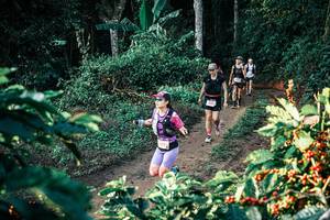 BIB: 
                            <button type="button" onclick="openModal(25808140)" class="btn btn-primary btn-sm float-right btn-popup" data-toggle="modal" data-target=".modal-high-quality">
                        <i class="fas fa-shopping-cart"></i> Add to Cart
                    </button>
                                            <button type="button" onclick="isThisMe(25808140, true)" class="btn btn-success btn-sm float-right btn-popup btn-isme hidden" data-toggle="tooltip" data-placement="bottom" title="นี่คือรูปของคุณใช่ไหม คลิกที่นี่เพื่อเอาเข้าอัลบั้ม">
                        <i class="fas fa-plus"></i> Add to album
                    </button>
                    <button type="button" onclick="isThisMe(25808140, false)" class="btn btn-warning btn-sm float-right btn-popup btn-isnotme hidden">
                        <i class="fas fa-ban"></i> Remove from album
                    </button>